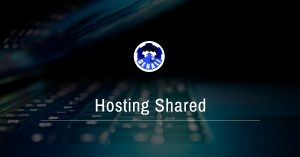 Fast and supported professional hosting